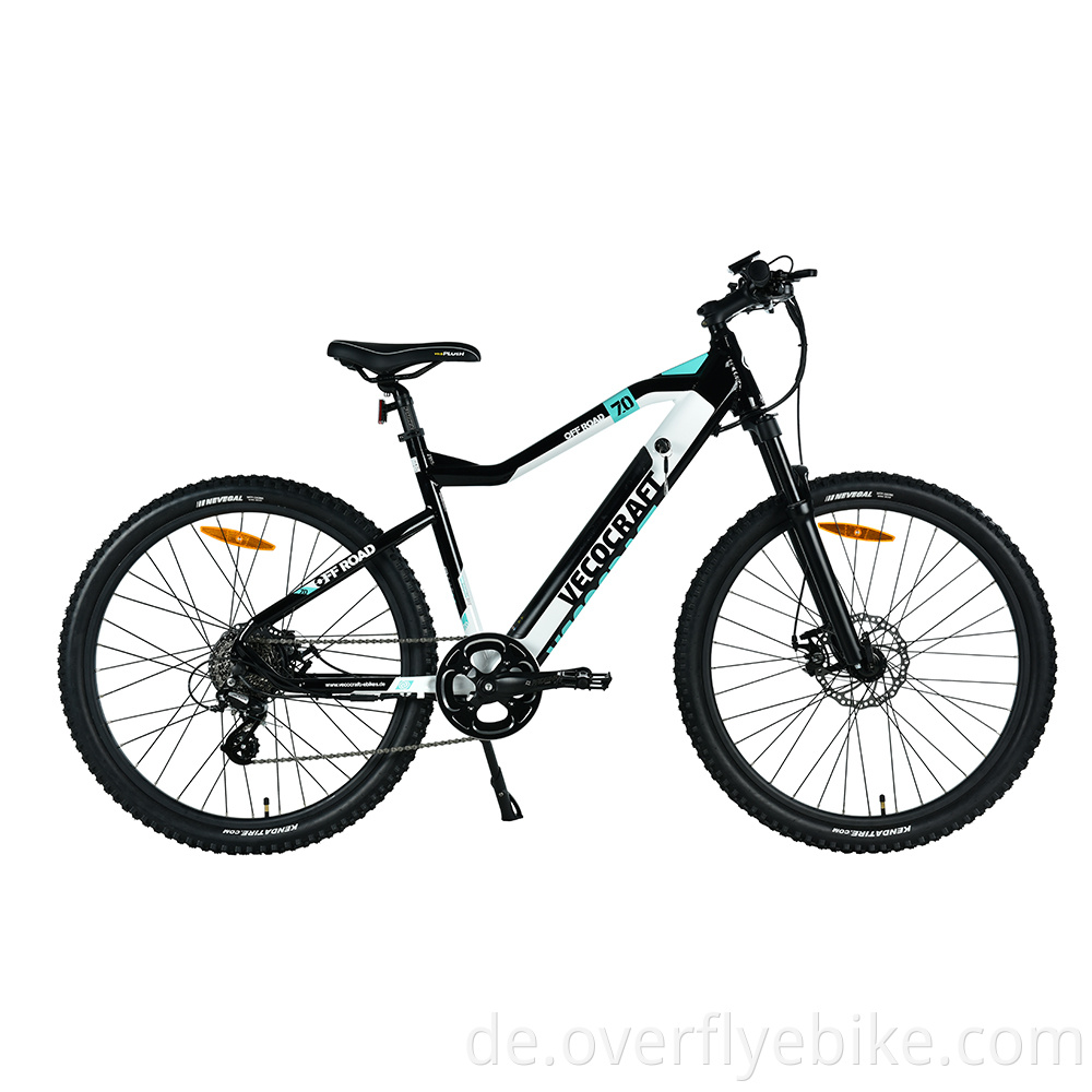 Mountain eBike